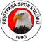 Reşitpaşa